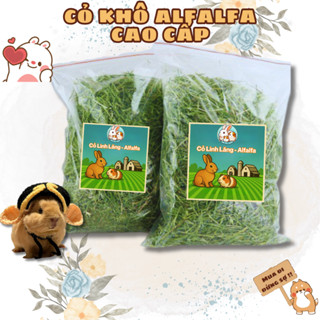 Cỏ  Alfalfa khô, thức ăn Bọ Ú (Chuột lang) Thỏ cảnh cao cấp (Hàng loại 1 lá xanh mềm ngon)