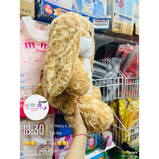 Thỏ mặt quạo bông/ Gấu bông Hàng Quà Tặng các hãng