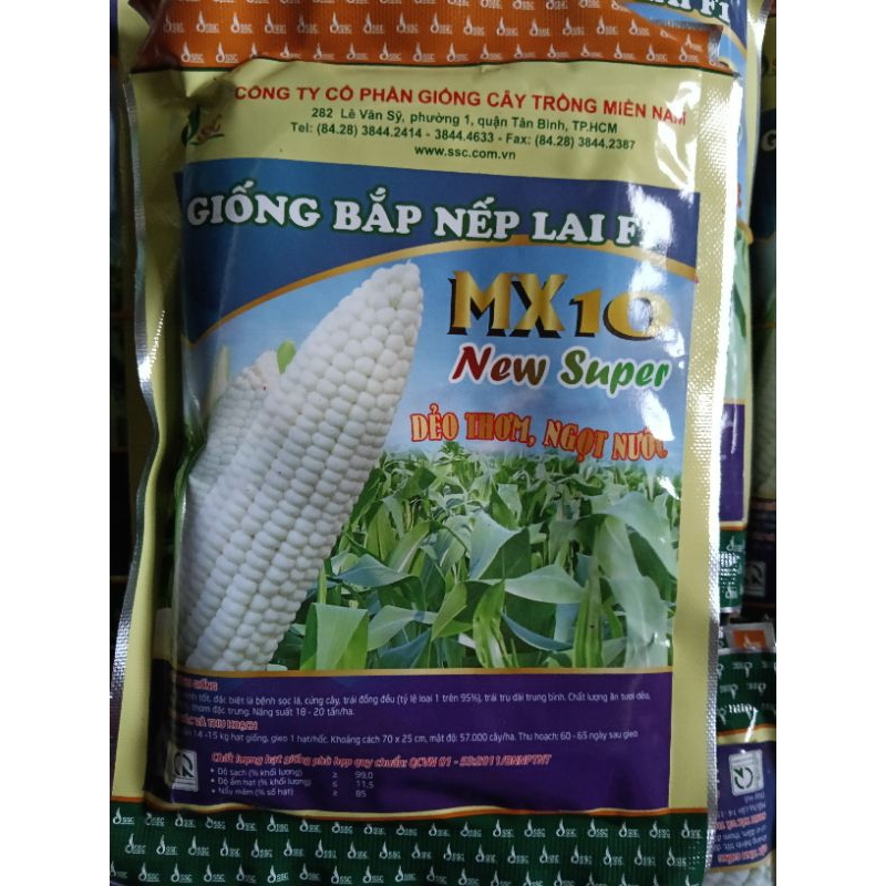 HẠT GIỐNG NGÔ NẾP LAI F1 MX10- GÓI 100GR