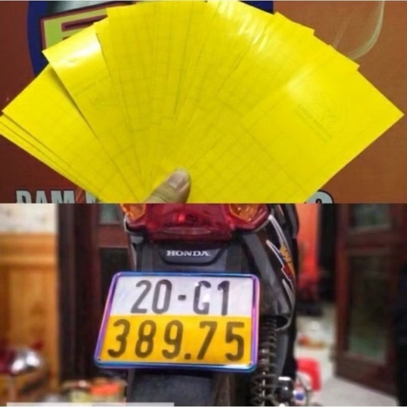 Decal Vàng dán biển số xe máy kích thước 20cm x 8cm