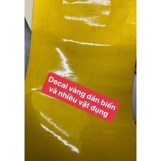 Decal Vàng dán biển số xe máy kích thước 20cm x 8cm