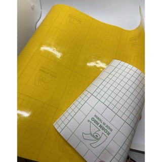 Decal Vàng dán biển số xe máy kích thước 20cm x 8cm