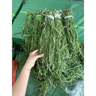1KG Rau tiến vua khô loại 1 có hút chân không ( xanh, non, giòn, dài đều đẹp)