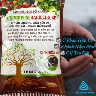 Chế phẩm vi sinh TRICHODERMA BACILLUS SP – Cải tạo đất, ngừa nấm hại, ủ phân hữu cơ thành phân bón | Gói Nâu 1kg + QT