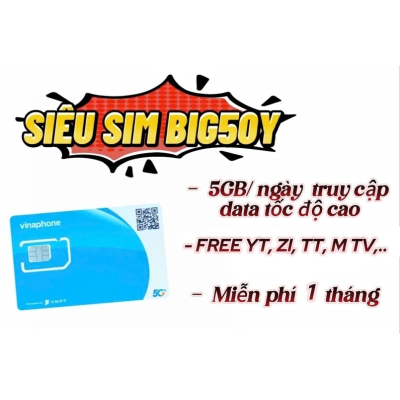 [SẴN THÁNG ĐẦU, CÓ ESIM] SIM VINA BIG50Y