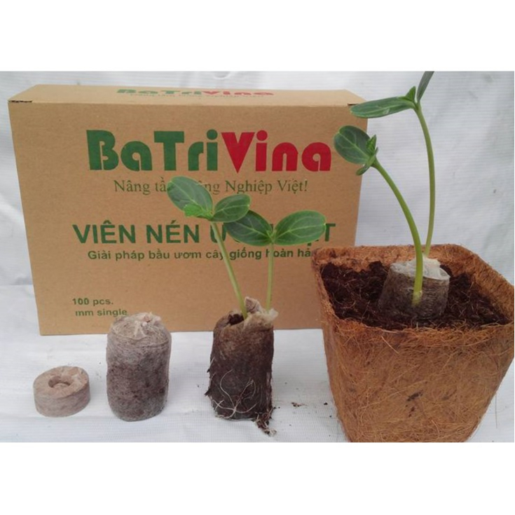 1 Viên nén ươm hạt giống