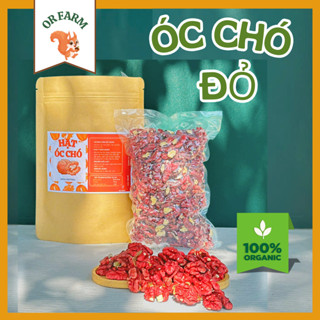 500g Hạt óc chó đỏ, quả óc chó, hạt óc chó cho bà bầu, hạt sấy khô dinh dưỡng, hạt óc chó tách vỏ