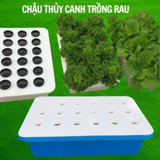 Thùng thủy canh và phụ kiện thủy canh (Nắp, rọ, dinh dưỡng, bút đo, mút xốp) trồng rau sạch tại nhà