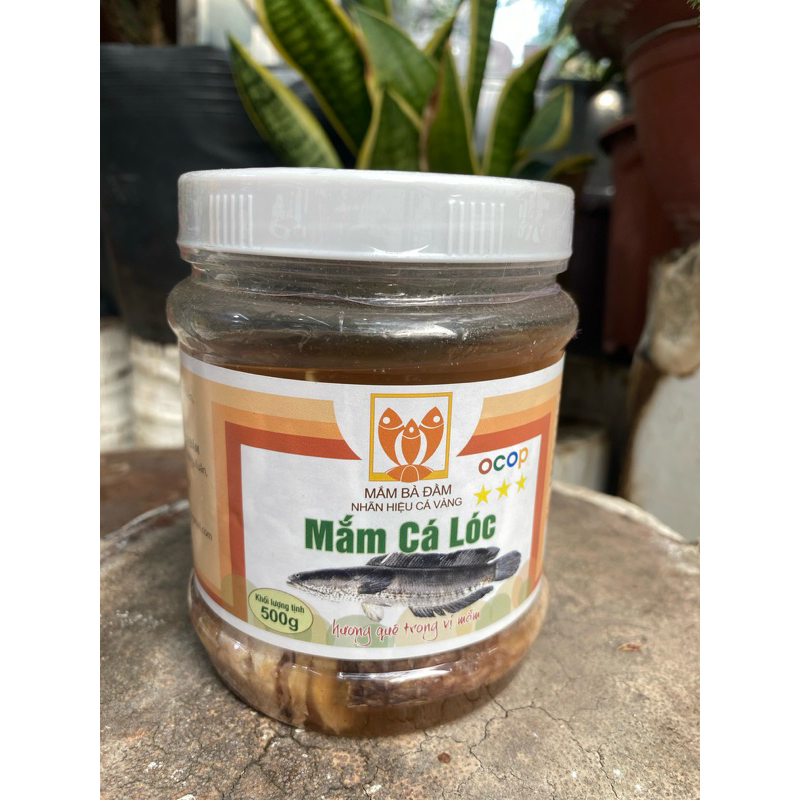 Mắm cá lóc (Mắm Cá Bà Đầm)