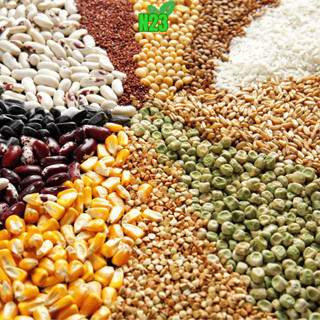 Bột ngũ cốc làm theo yêu cầu