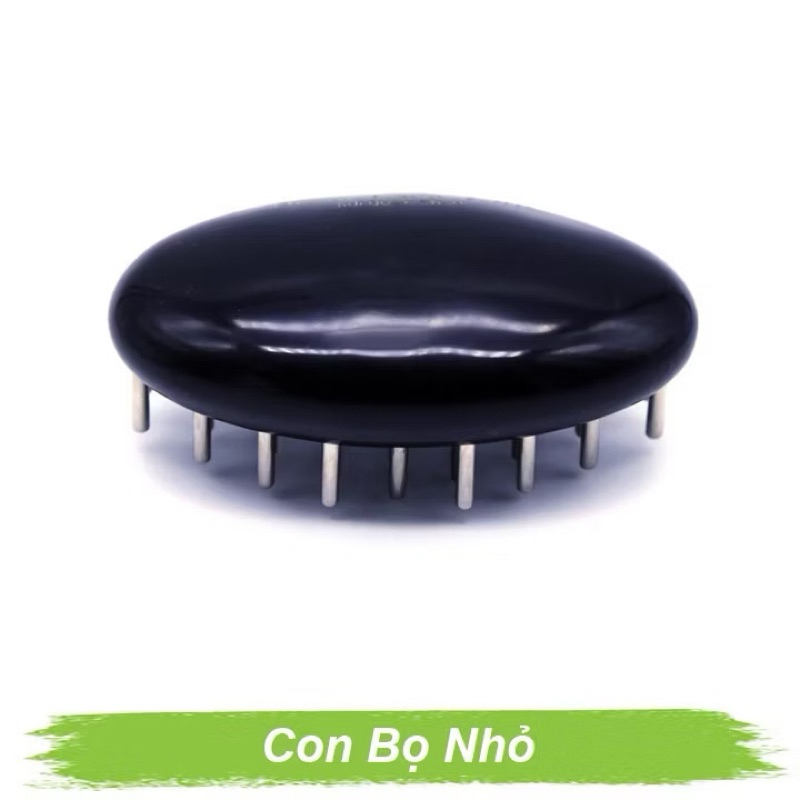 Con Bọ Nhỏ Diện Chẩn