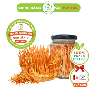 [Hỏa Tốc] Đông Trùng Hạ Thảo VITOT Công Nghệ Sấy Thăng Hoa Nhiều Chất Dinh Dưỡng Hỗ Trợ Sức Khỏe