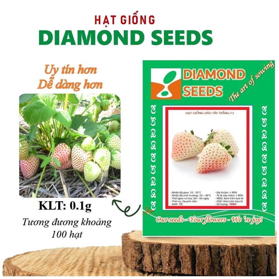 [HÀNG CHÍNH HÃNG] Hạt giống Dâu tây Trắng 50 Hạt