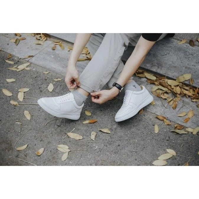 Giày Sneaker các màu HOT HIT bản cao cấp nhất