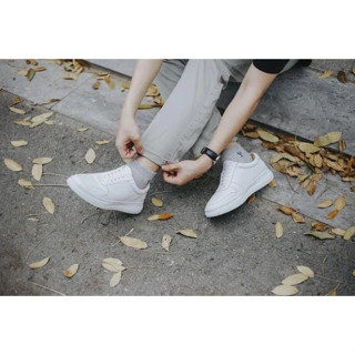 Giày Sneaker các màu HOT HIT bản cao cấp nhất