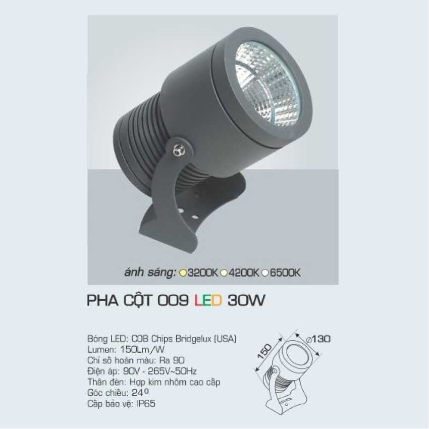 Led rọi cột Anfaco pha 009 - 30W