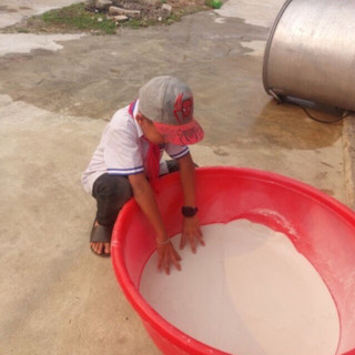 Tinh bột củ dong riềng Lai Châu