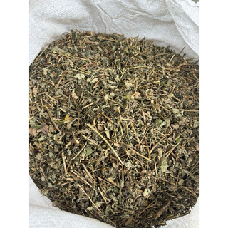 Cà Gai Leo Khô 1KG Nguyên Chất 100% – Giải Độc Gan, Hỗ Trợ Giảm Men Gan, Uống Thay Nước Hàng Ngày