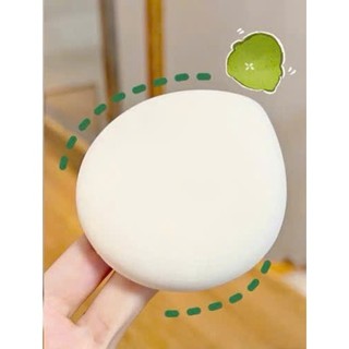 Bộ mút trang điểm Haiily sử dụng ướt và khô đa năng với cọ và hộp đựng siêu mềm mịn