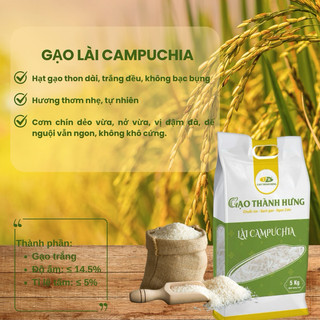 Gạo Lài Campuchia TH - Túi 5kg - Gạo Thơm Đặc Sản Thượng Hạng - Cơm thơm, dẻo vừa, ngọt cơm