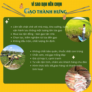 Gạo Lài Campuchia TH - Túi 5kg - Gạo Thơm Đặc Sản Thượng Hạng - Cơm thơm, dẻo vừa, ngọt cơm