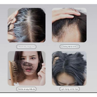 Trà Ngũ Hắc, Trà Mọc Tóc Đẹp Da(50 túi lọc)