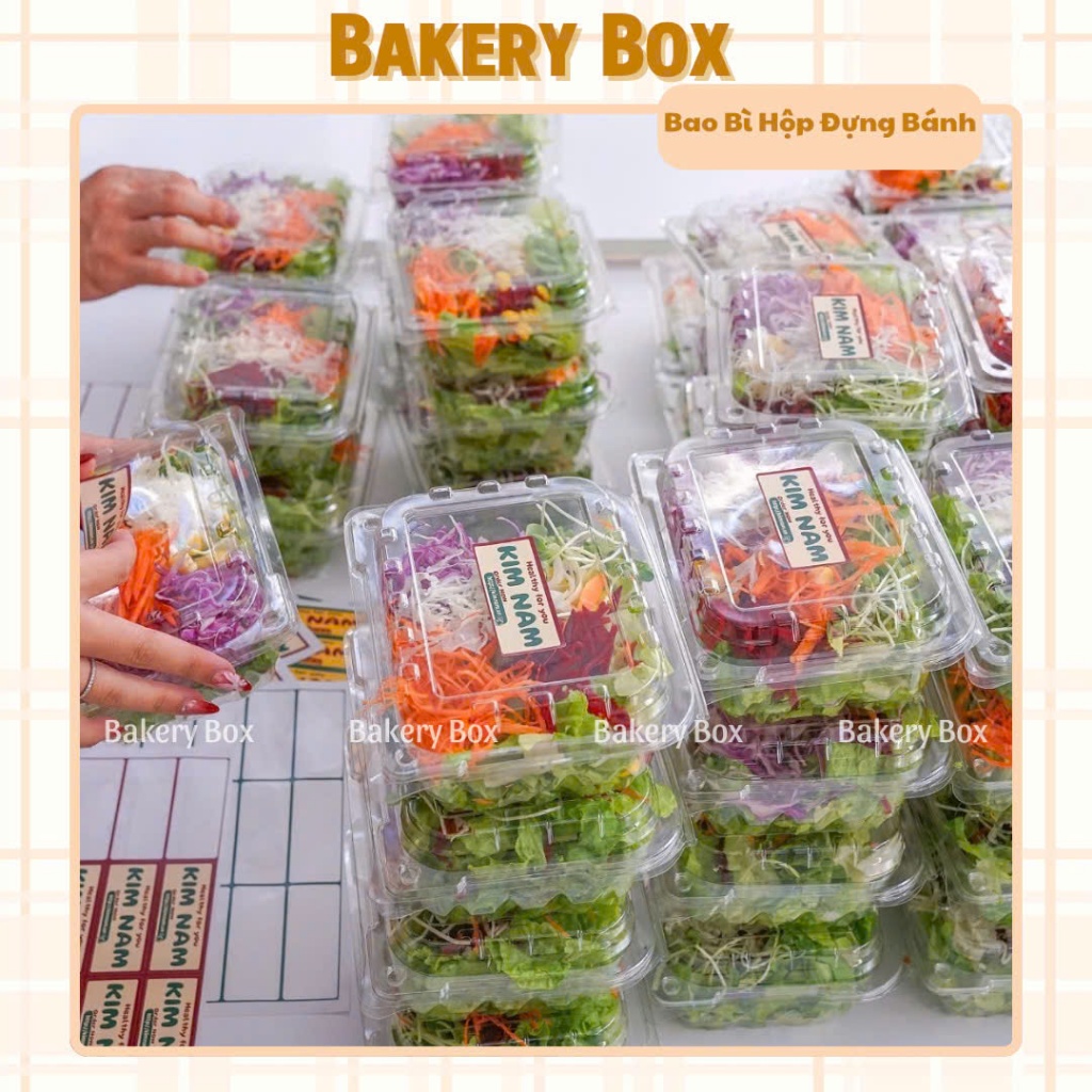 Hộp H145 Đựng Rong Nho, Trái Cây, Macaron, Bánh Bò Thốt Nốt, Salad Trộn