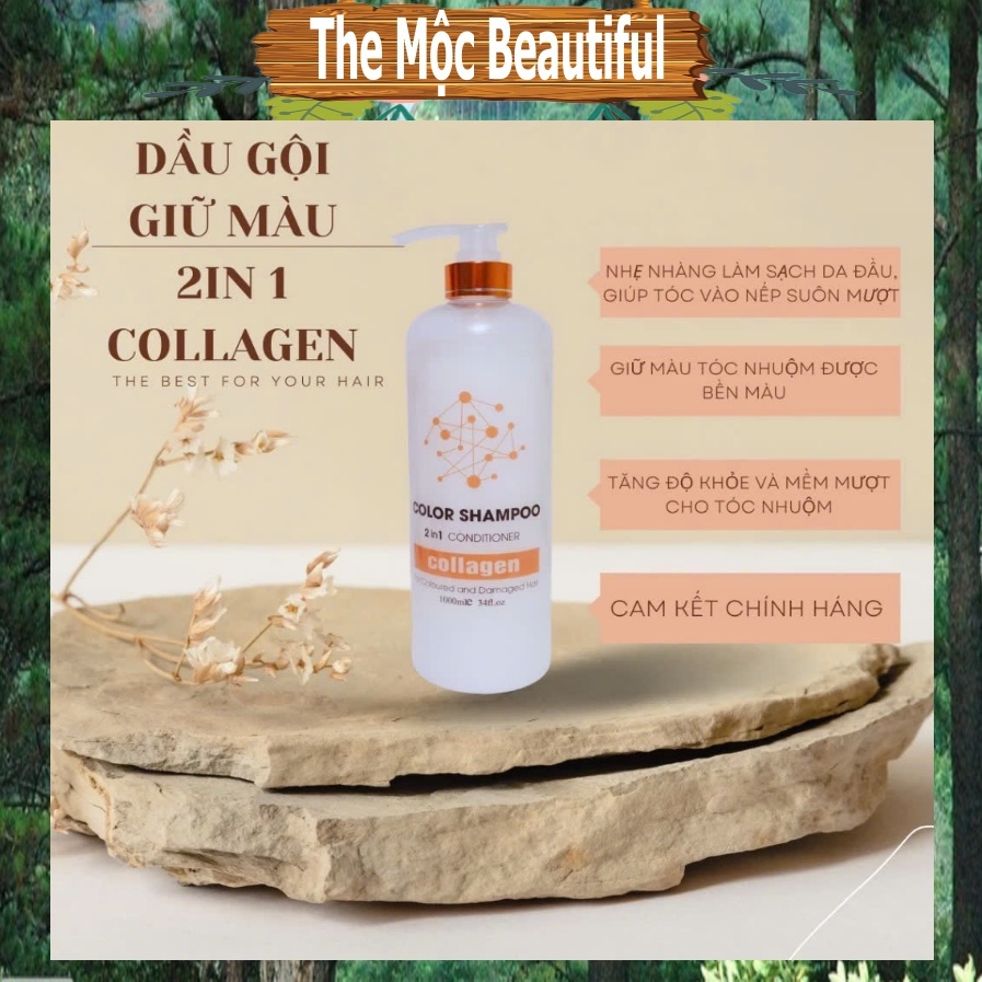 Dầu Gội Giữ Màu Tóc Algo Color Shampoo 2in1 Conditioner 1000ml :sạch sâu, giảm gãy rụng, giữ màu tóc