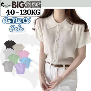 40-105KG Áo Thun Nữ Cổ Polo Len Mềm Mịn Thời Trang Bigsize - Mã 52