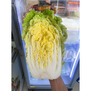 Cải Thảo Thả Lẩu , Xào Nấu Siêu Ngon- gói 500gr (giao hàng hoả tốc )