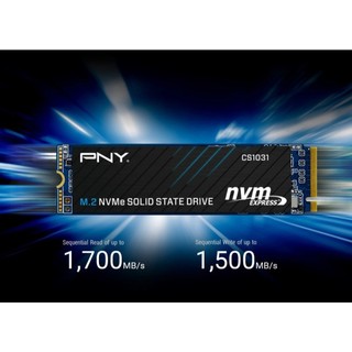 Ổ CỨNG SSD PNY CS1031 500GB M.2 2280 PCIE NVME GEN 3X4 (ĐỌC 2200MB/S - GHI 1200MB/S)