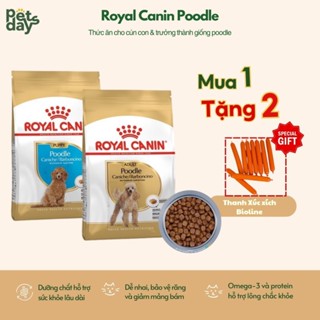 Hạt cho chó Royal Canin Poodle - Thức ăn cho chó Poodle duy trì sức khỏe da lông HSD( 28/02/2026)