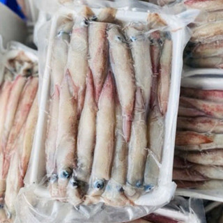MỰC GHIM ĐÔNG LẠNH SZ NHỎ 500G (RÃ ĐÔNG ~450G)