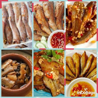 CÁ ĐÙ MỘT NẮNG 500G (TẦM 8-9CON)