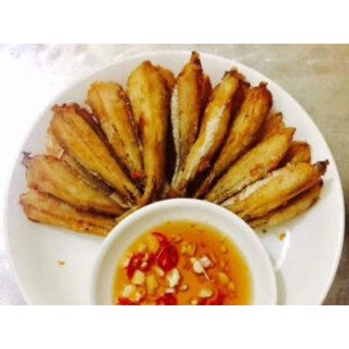 CÁ ĐÙ MỘT NẮNG 500G (TẦM 8-9CON)
