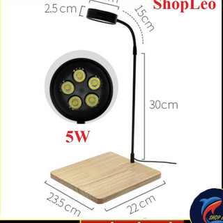 Đèn Led Kệ gỗ BamBoo 5W - Đèn đế gỗ