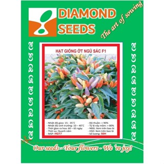 Hạt giống Ớt ngũ sắc (20 hạt) Hạt giống Ớt nảy mầm tốt, trồng quanh năm ớt chỉ thiên Ớt Xiêm, Ớt Ngọt, Ớt sừng bò