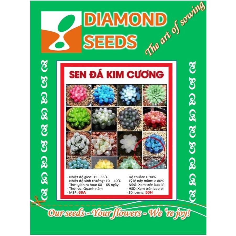 Hạt Giống Sen Đá Kim Cương  Có Phân tan chậm Xịt Kích Mầm Kích Chồi Sen Đá HÀNG CÔNG TY