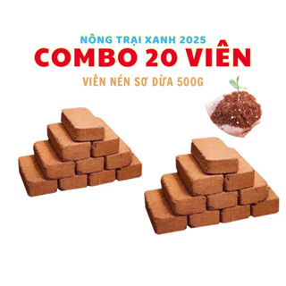 COMBO 20 VIÊN ĐẤT TRỒNG CÂY VIÊN NÉN XƠ DỪA