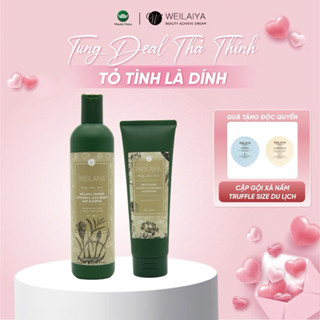 Cặp dầu gội xả tóc thảo dược Weilaiya gừng hà thủ ô giúp dưỡng đen và kích thích mọc tóc
