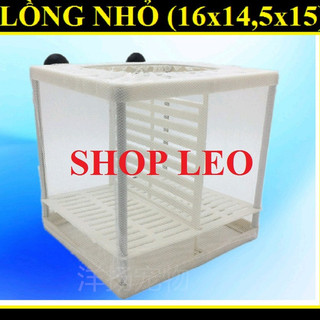 LỒNG DƯỠNG CÁ- TÁCH CÁ ĐẺ- lồng cá đẻ