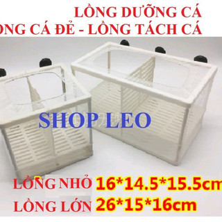 LỒNG DƯỠNG CÁ- TÁCH CÁ ĐẺ- lồng cá đẻ