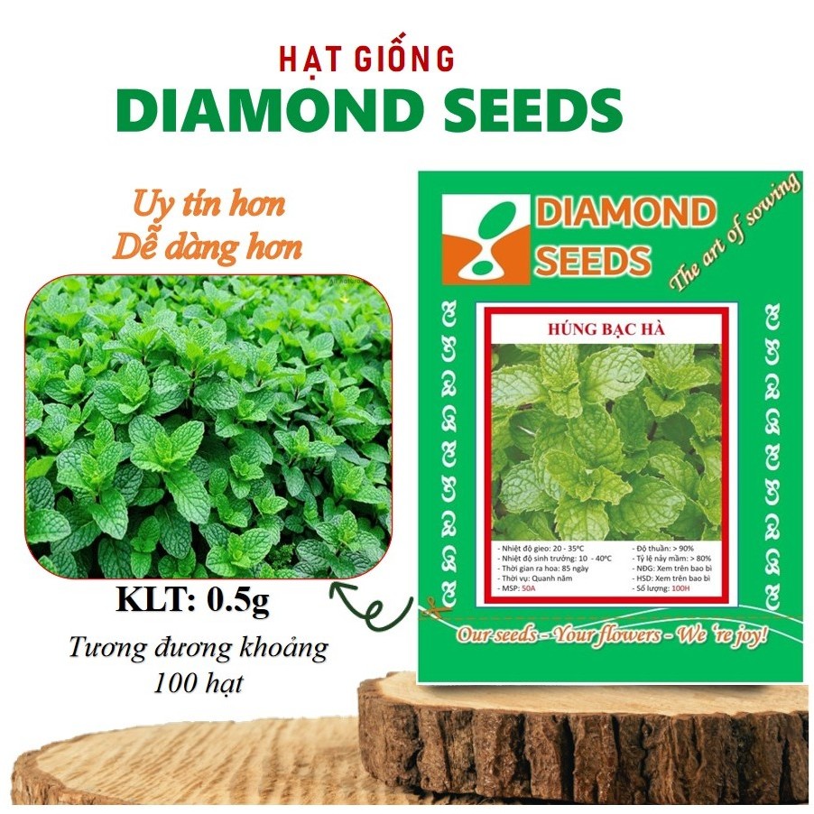 [HÀNG CHÍNH HÃNG] Hạt Giống Húng Bạc Hà Dễ Trồng