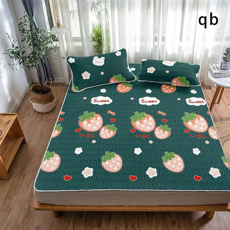 CHIẾU ĐIỀU HOÀ 5D Cao Cấp Chiếu Điều Hoà Kèm 2 Vỏ Gối chất liệu tencel latex hàng loại 1