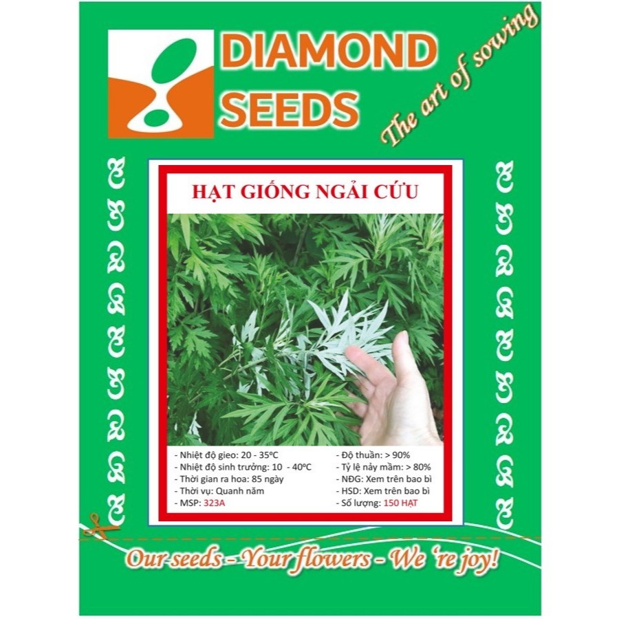 100 Hạt Giống Ngải Đắng (NGẢI CỨU) - HÀNG CÔNG TY