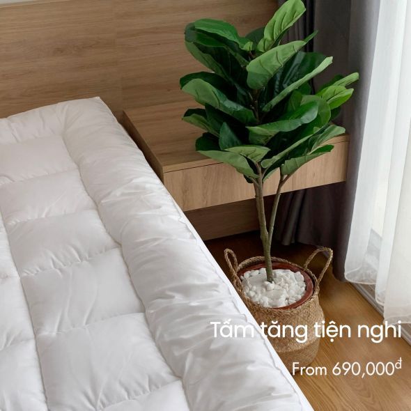 Topper Đệm/Topper Nệm, Tăng tiện nghi EVERON (Dày), làm mềm đệm cao cấp NHIỀU kích thước | BigBuy360 - bigbuy360.vn