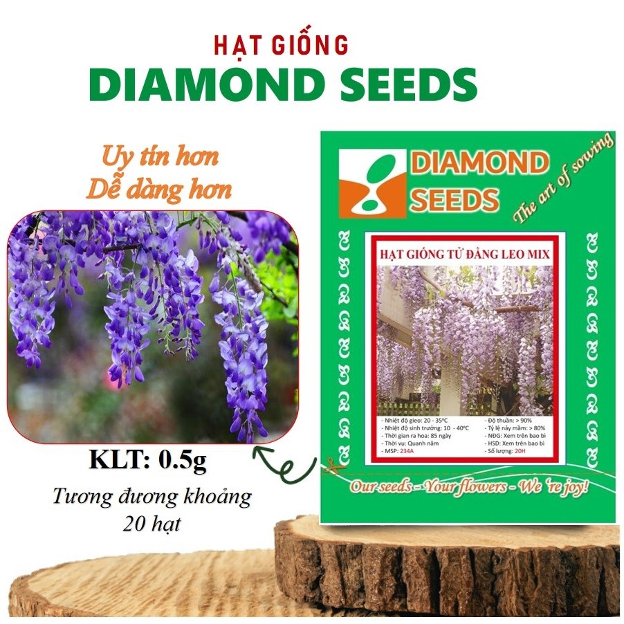 Hạt giống hoa Tử Đằng Hoa Kỳ - Cây Tử Đằng có hoa màu tím thơm - GÓI HÃNG UY TÍN