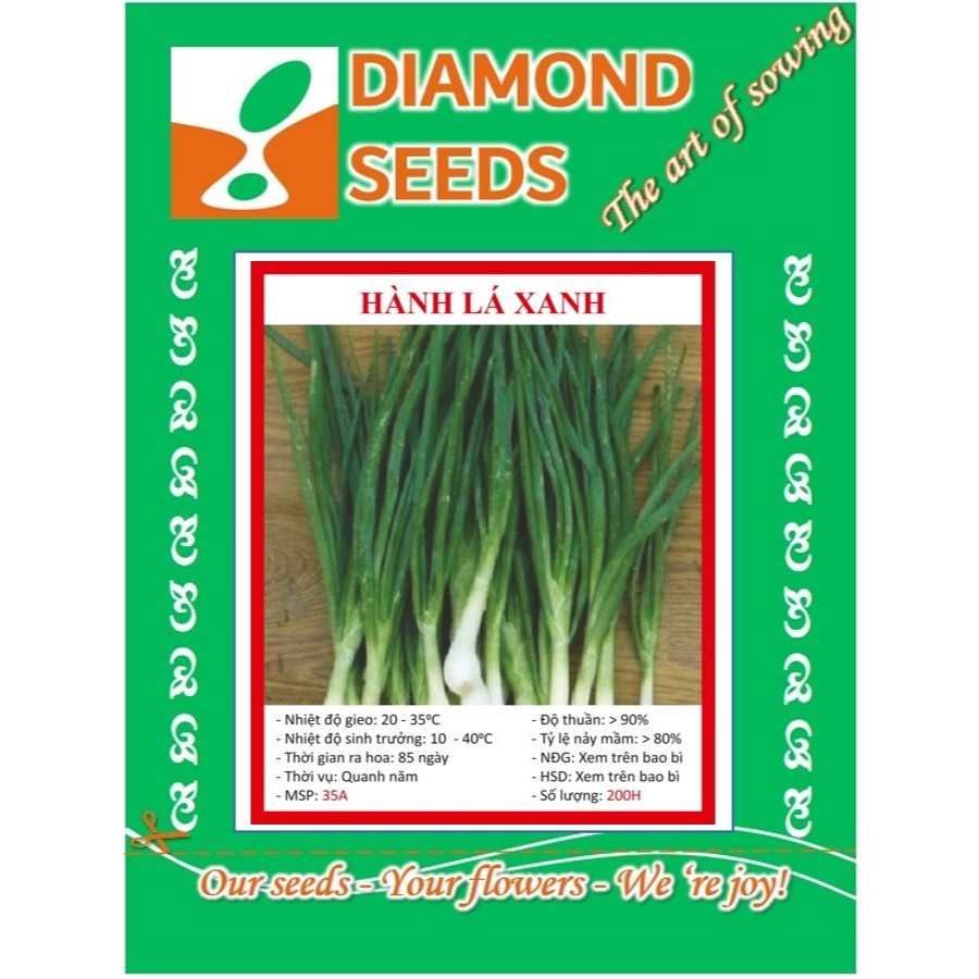 Hạt giống Hành lá Hành Hoa Cao Sản Hạt Giống Mới Chính Hãng 1G - HÀNG CÔNG TY