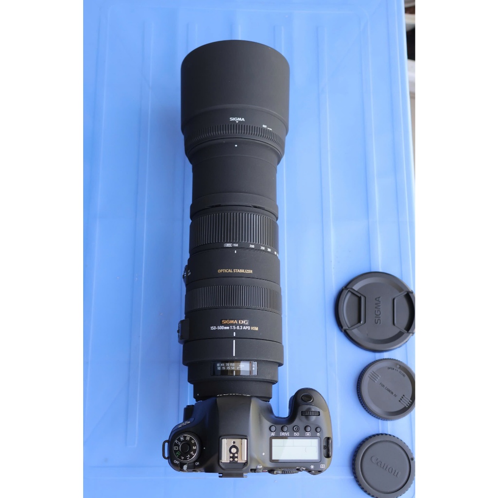 Siêu phẩm canon 6D và lens SIGMA APO 150-500mm F5-6.3 DG HSM OS - Máy ảnh Canon