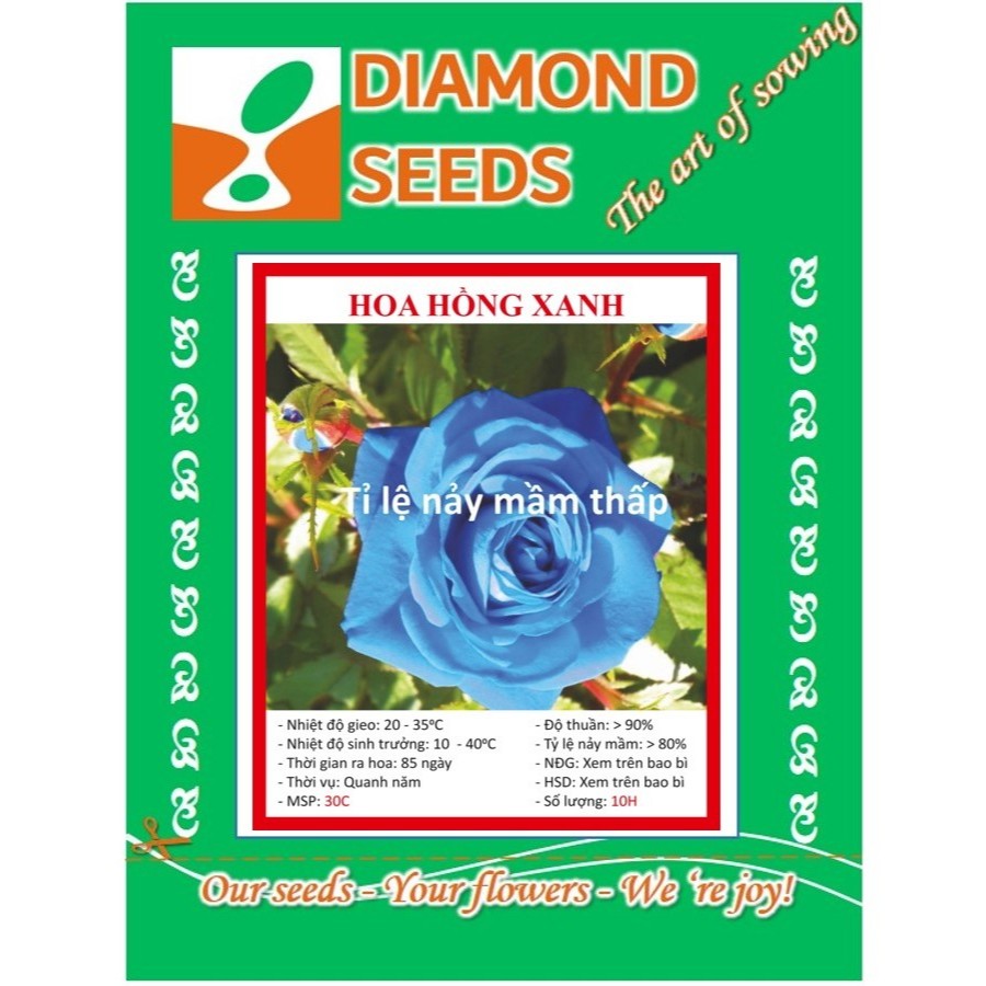 Hạt Giống Hoa Hồng Xanh - 20 Hạt - HÀNG CÔNG TY
